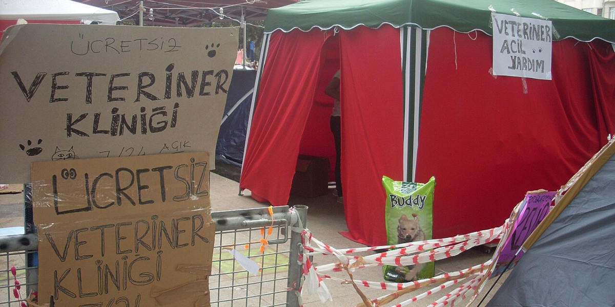 A tent with cardboard signs reading in Turkish that it is a veterinarian clinic