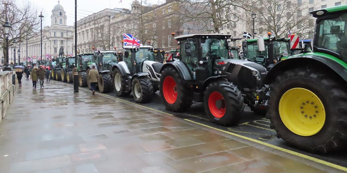 A row of tractors, some sporting Union Jack flags, photographed from the pavement in Whitehall